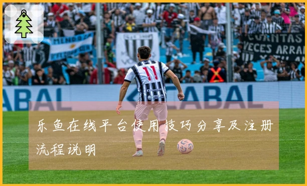 乐鱼在线平台使用技巧分享及注册流程说明