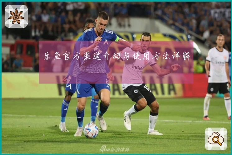 乐鱼官方渠道介绍与使用方法详解