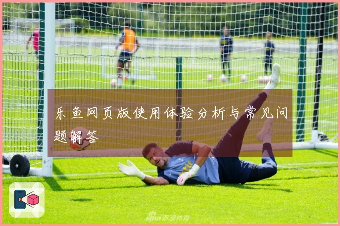 乐鱼网页版使用体验分析与常见问题解答