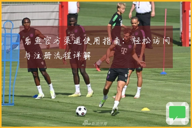 乐鱼官方渠道使用指南：轻松访问与注册流程详解