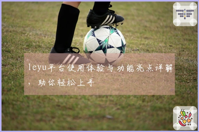 leyu平台使用体验与功能亮点详解，助你轻松上手