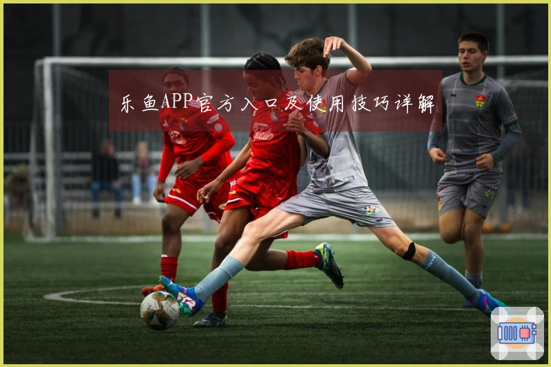 乐鱼APP官方入口及使用技巧详解