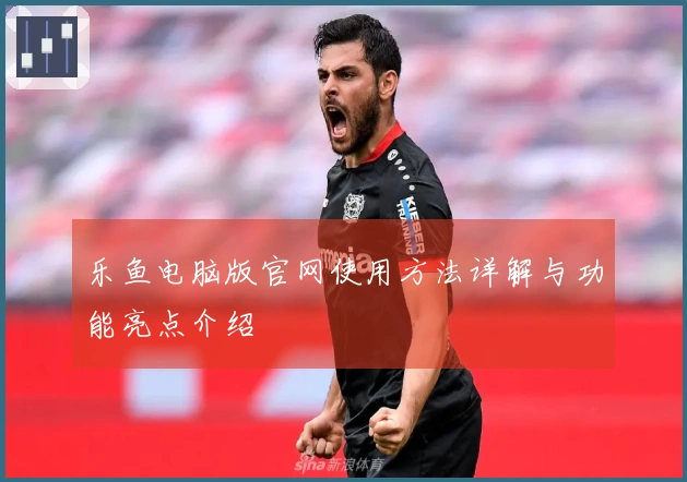 乐鱼电脑版官网使用方法详解与功能亮点介绍