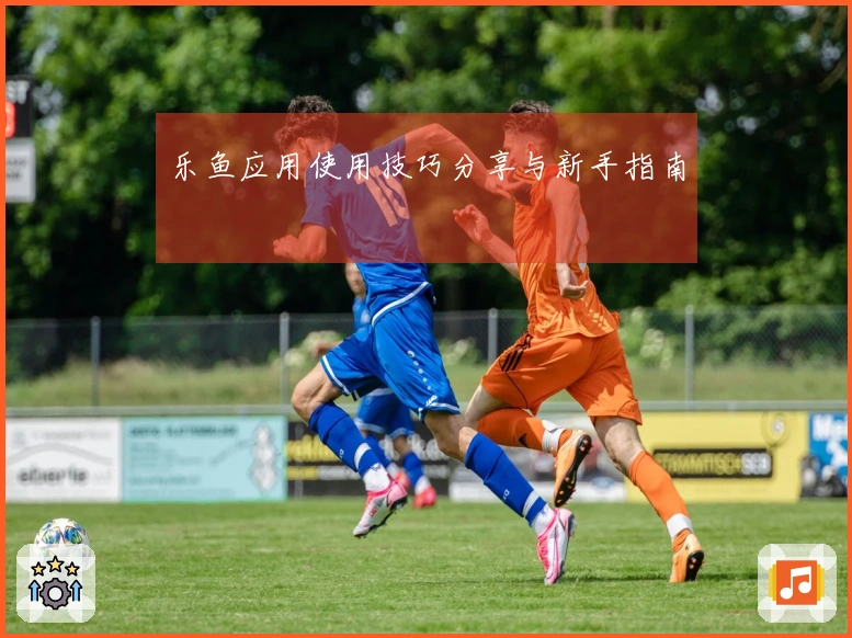 乐鱼应用使用技巧分享与新手指南