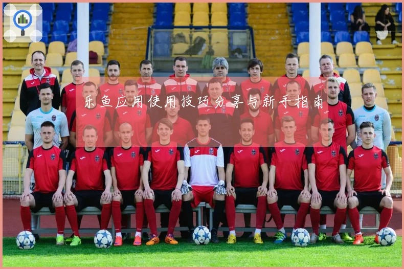 乐鱼应用使用技巧分享与新手指南