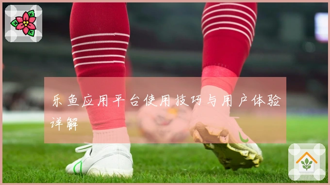 乐鱼应用平台使用技巧与用户体验详解